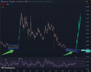 Cardano koers naar $1 verwachting