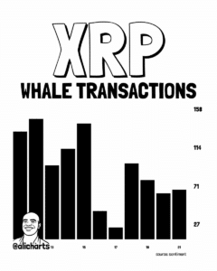 XRP whale volume daalt deze week