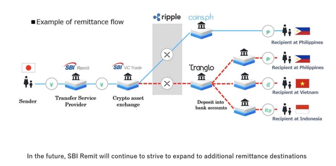 XRP SBI proces