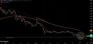 XRP koers verwachting juli