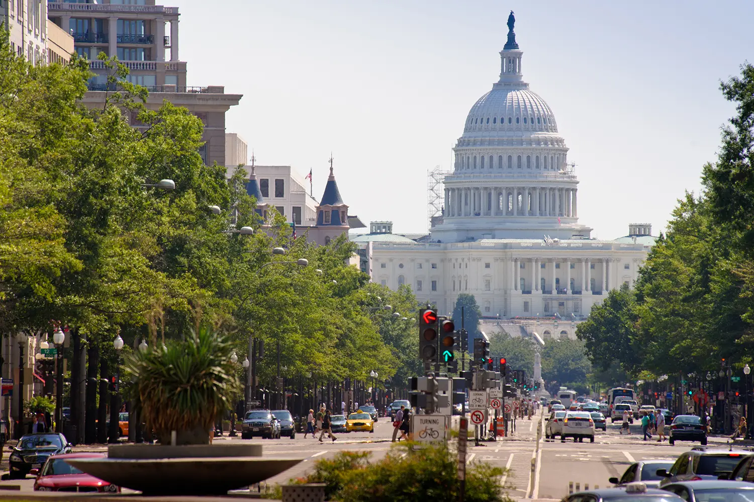 The US Capitol building viewed from a street lined with trees in Washington, DC.
