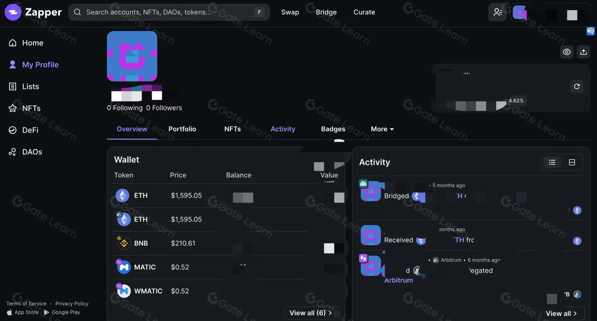 Zapper DeFi dashboard interface showing wallet balances and activity.