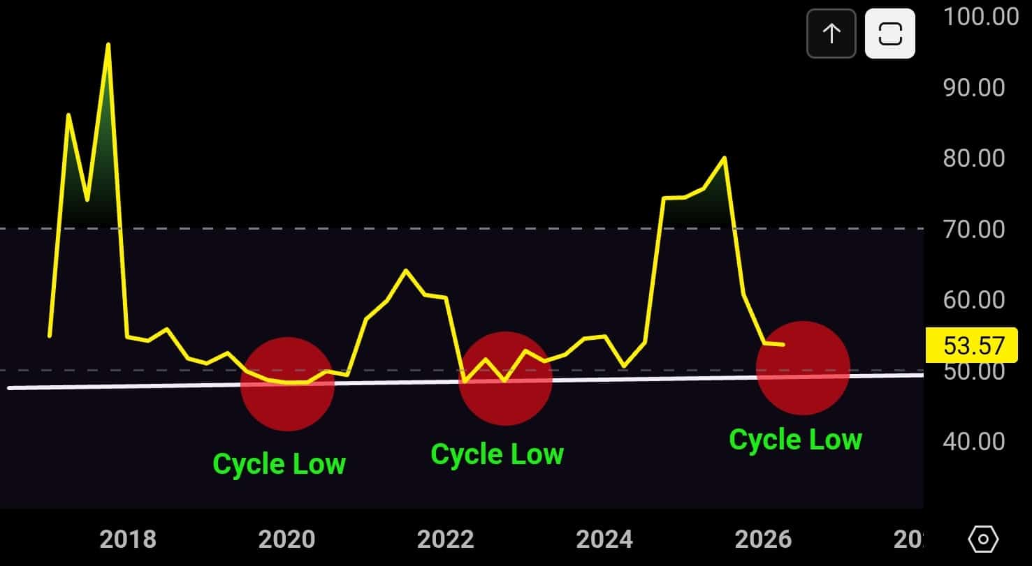 XRP bull run cycle bodem